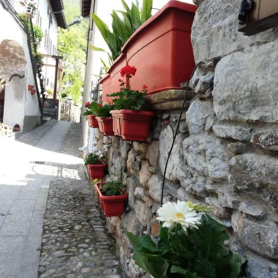 Il Sogno Di Claudia Apartment Gera Lario Exterior foto