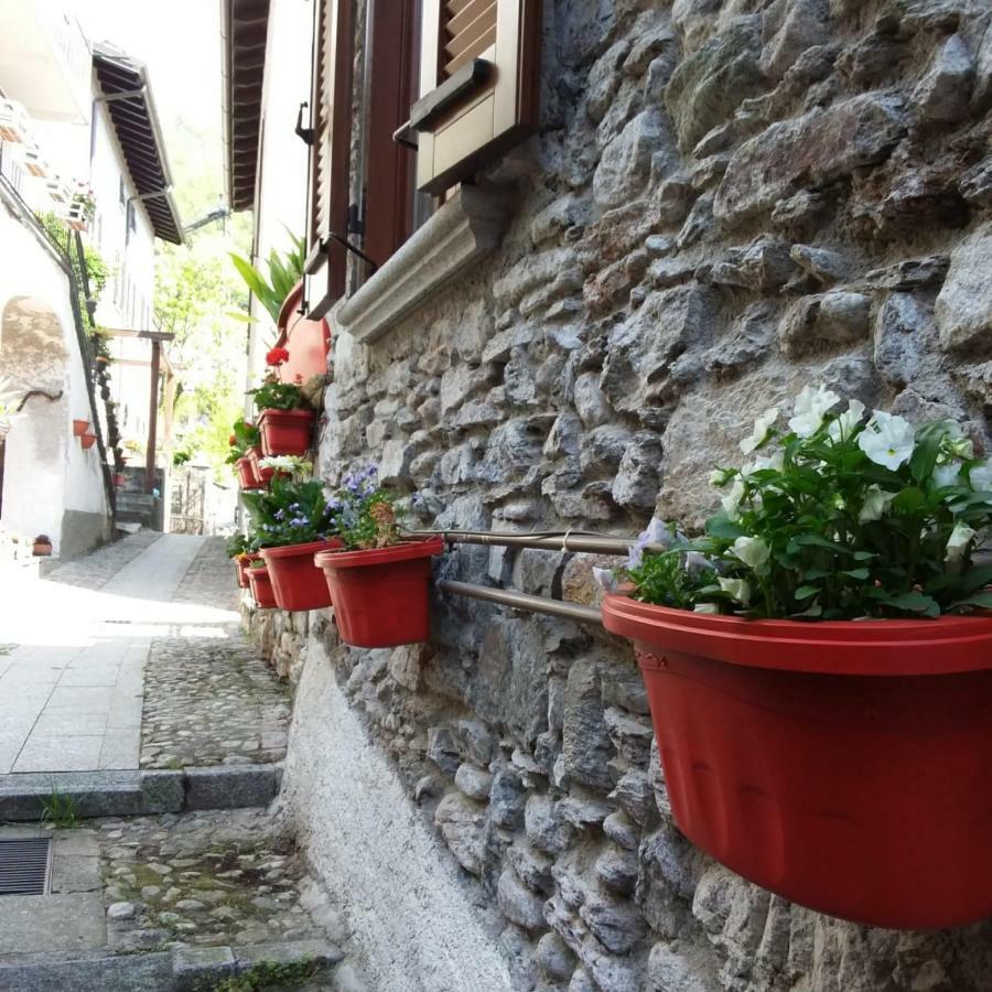 Il Sogno Di Claudia Apartment Gera Lario Exterior foto